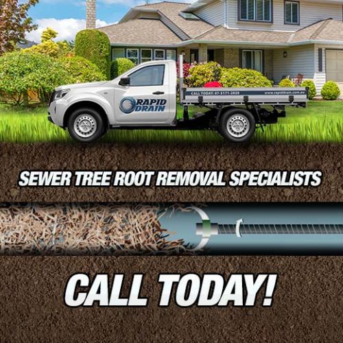 Sewer Tree Root Removal Specialists In Ekibin
